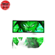 3D-Nachtlicht Broly - Dragon Ball Z™