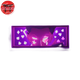 3D-Nachtlicht Hisoka - Hunter x Hunter™