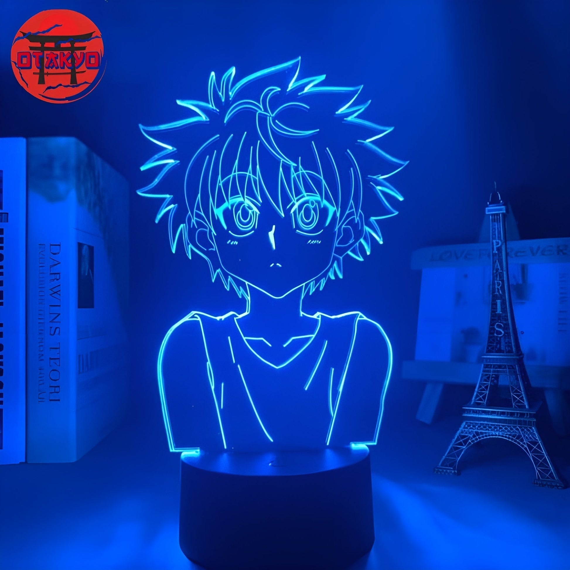 3D-Nachtlicht Kirua Zoldik - Hunter x Hunter™