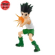 Gon 
