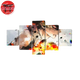 Katsuki Bakugo Gemälde - My Hero Academia™