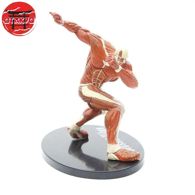 Kolossaler Titan Figuren - Attack on Titan™