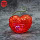 Ope Ope no Mi LED Figuren - One Piece™