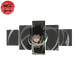 Shota Aizawa Gemälde - My Hero Academia™