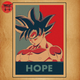Son Goku Poster 
