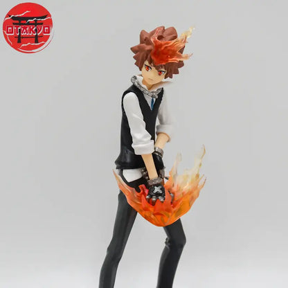 Tsunayoshi Sawada Figuren - Reborn™