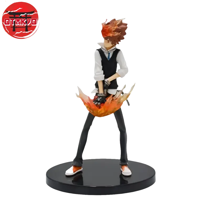 Tsunayoshi Sawada Figuren - Reborn™
