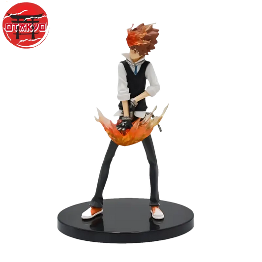Tsunayoshi Sawada Figuren - Reborn™